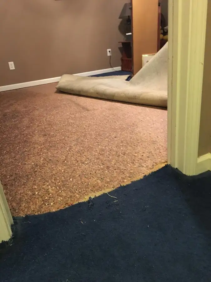 Carpet pad removal revealing water damage during Drying & Dehumidification in Highlands